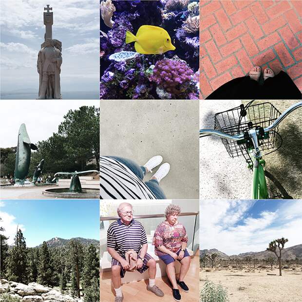 Insta-Lately-05.png