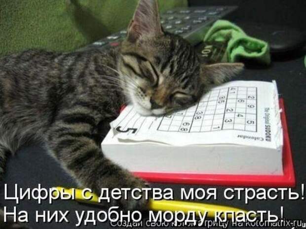 Позитивные зверушки. Весёленькие фото Позитивные зверушки. Весёленькие фото