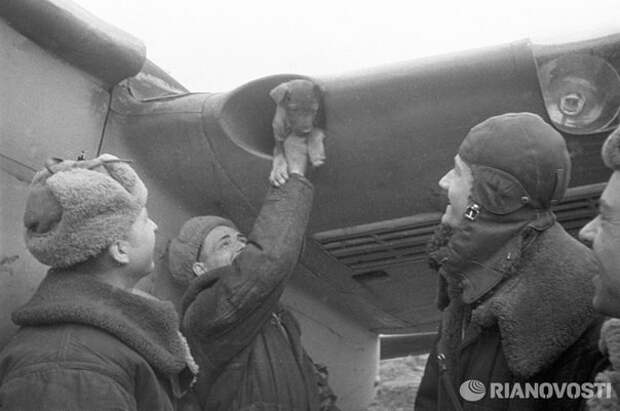 Редкие фотографии Великой Отечественной войны Редкие фотографии Великой Отечественной войны война, ссср, фото. великая отечественная война