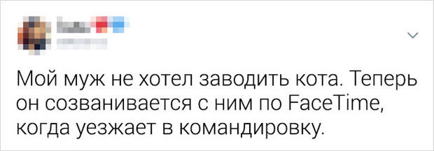 16 мужчин, готовых на все ради питомцев, которых они «никогда не хотели»