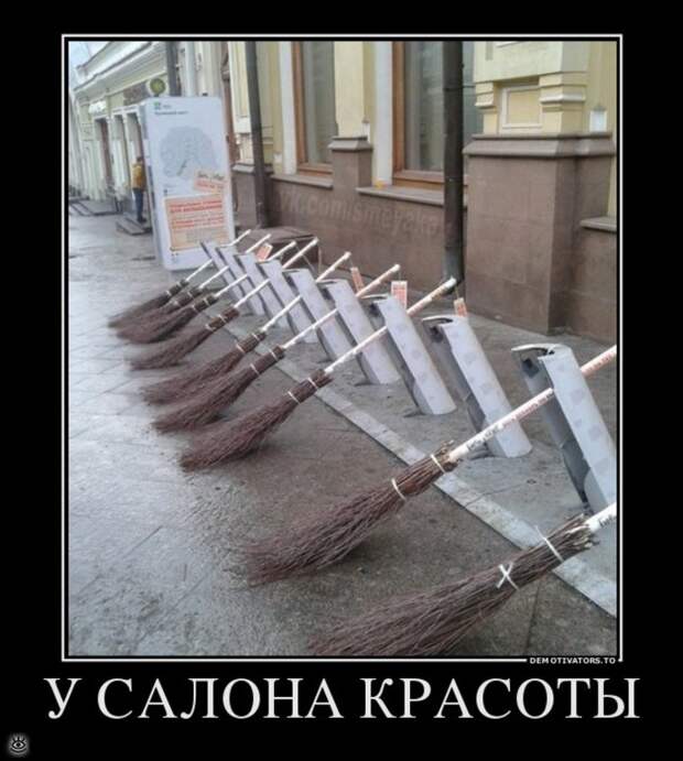 Воскресная порция философского юмора 12