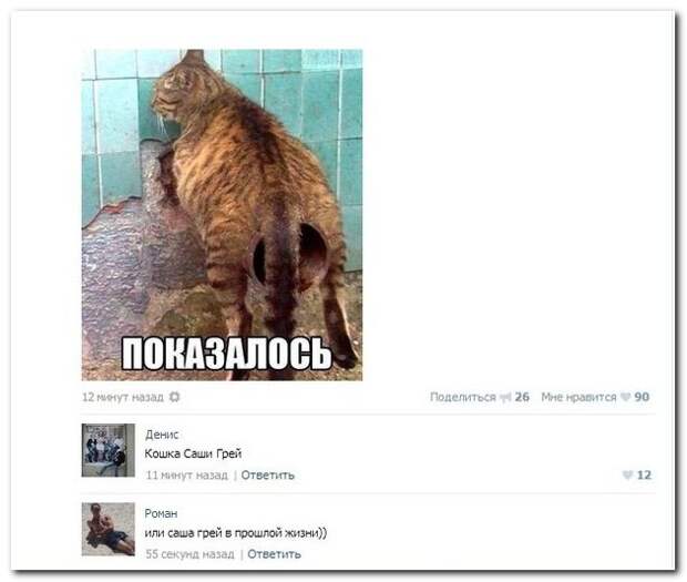 Смешные комментарии из социальных сетей 18.04.14 комментарии, прикол, соцсети