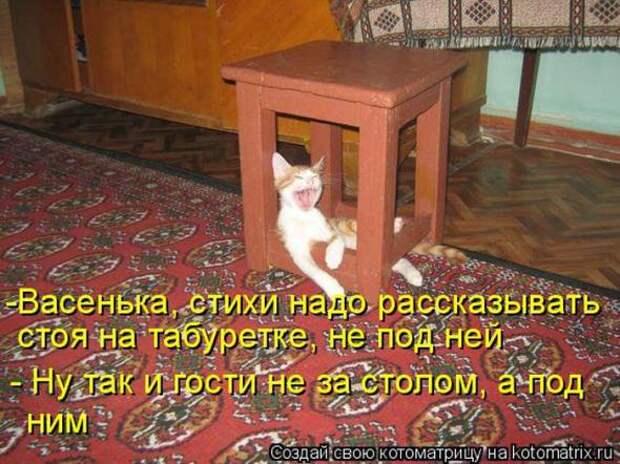 Котоматрицы (картинки с надписями)