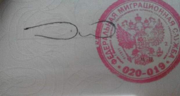 самые странные и смешные подписи в документах