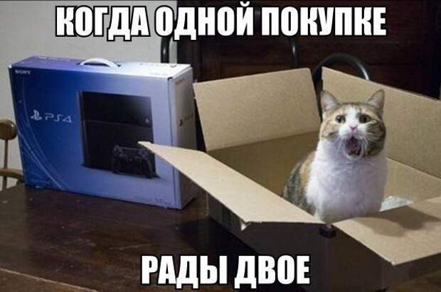 Смешные картинки с подписями катинки, прикол, юмор