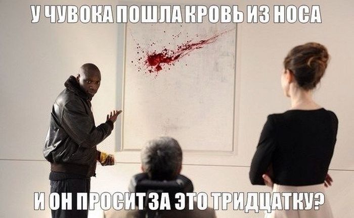 Смешные картинки с подписями катинки, прикол, юмор