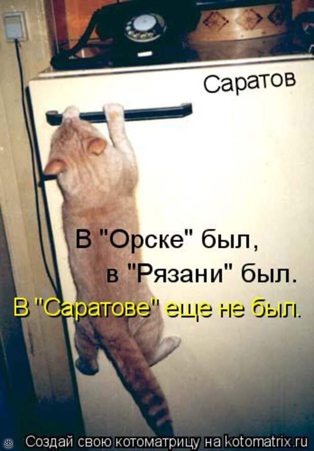 Чудная котоматрица 26