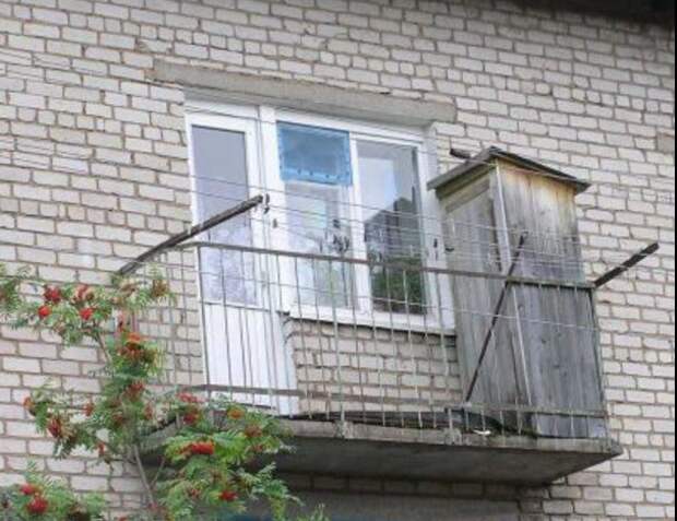 В удобствах на улице есть своя романтика  девушки, животные, прикол, юмор