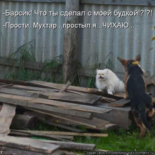 Мысли вслух :)