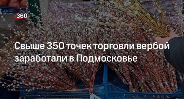 Свыше 350 точек торговли вербой заработали в Подмосковье