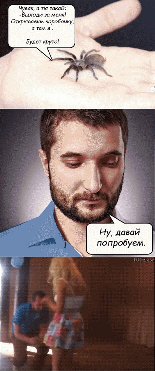 катинки, прикол, юмор