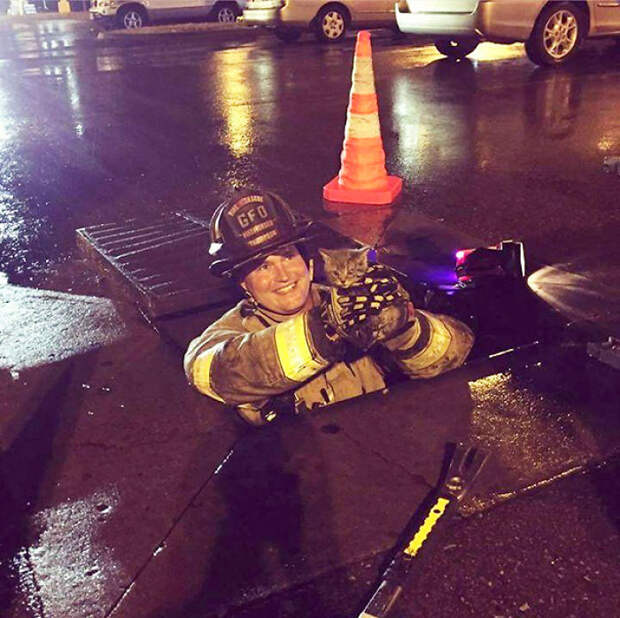 Firefighter Buddy Saving A Tiny Kitten