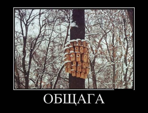 Демотиваторы (30 фото)