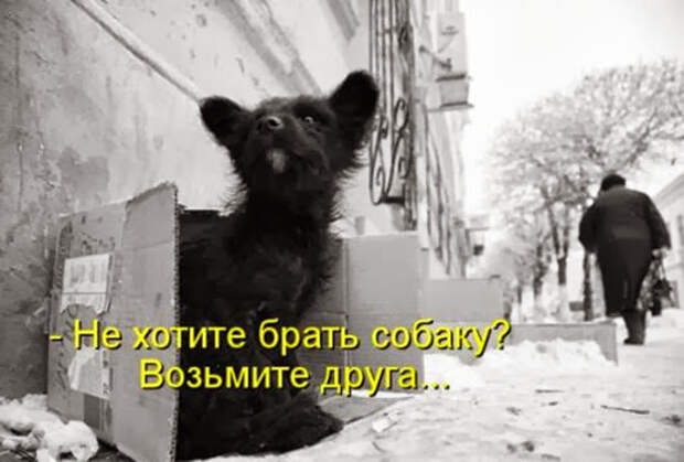 897c78f7297054282cb4d2aefc1_prev
