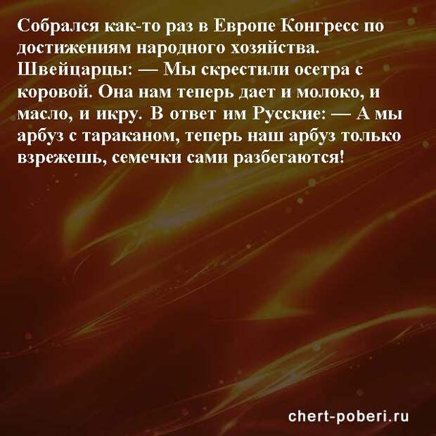 Самые смешные анекдоты ежедневная подборка chert-poberi-anekdoty-chert-poberi-anekdoty-52441211092020-2 картинка chert-poberi-anekdoty-52441211092020-2