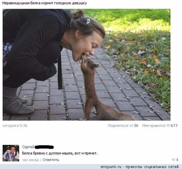 Белка кормит голодную девушку