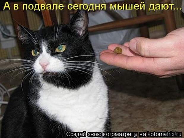 Мысли вслух :)