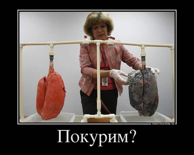 Демотиваторы демотиваторы
