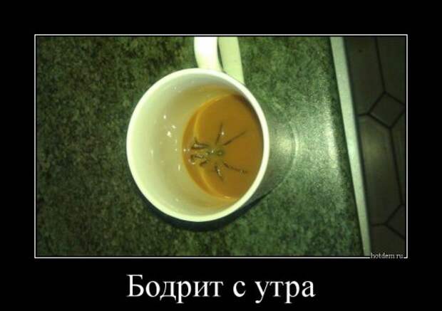 Прикольные демотиваторы (12 шт) Прикольные демотиваторы (12 шт)
