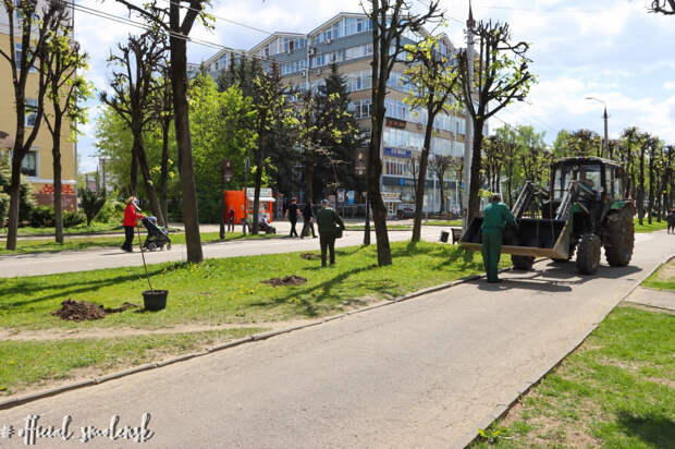 При благоустройстве улицы Октябрьской революции сохранят деревья