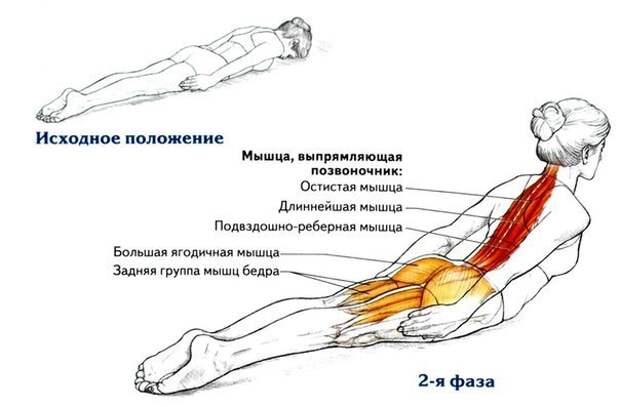 Почему для королевской осанки вам нужно всего одно упражнение (604x397, 40Kb)