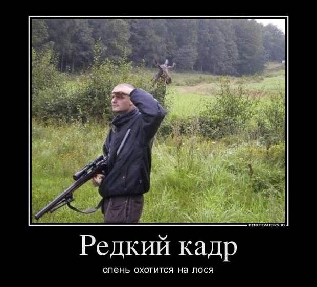 Подборка демотиваторов демотиватор, юмор