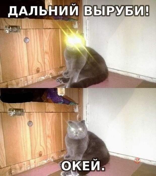 Смешные картинки с подписями картинки, прикол, юмор