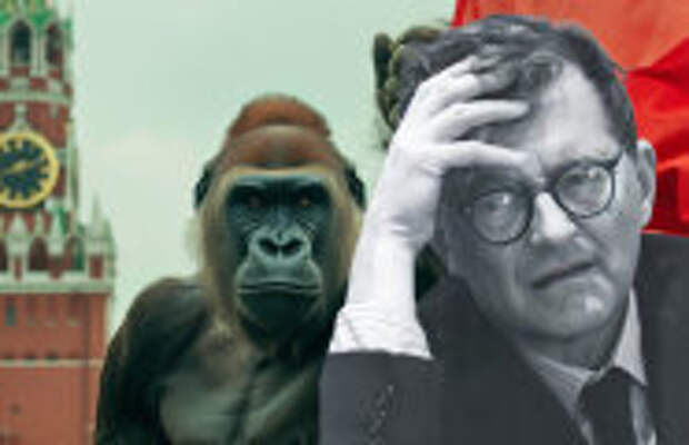 История и археология: Как эксперименты по скрещиванию людей и обезьян вдохновили великого Шостаковича на оперу, и почему о ней забыли
