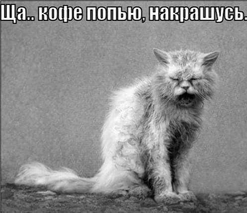 Смешные свежие мемы (воскресенье)