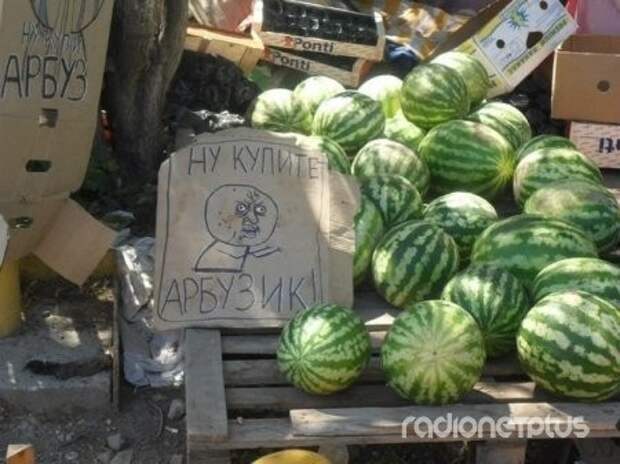 Прикольные надписи и объявления