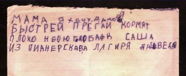 Ребенок голодает, добавки-то не дают дети, пионерский лагерь, письма, юмор