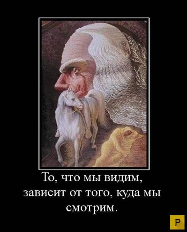 Зри в корень  (32 фото)