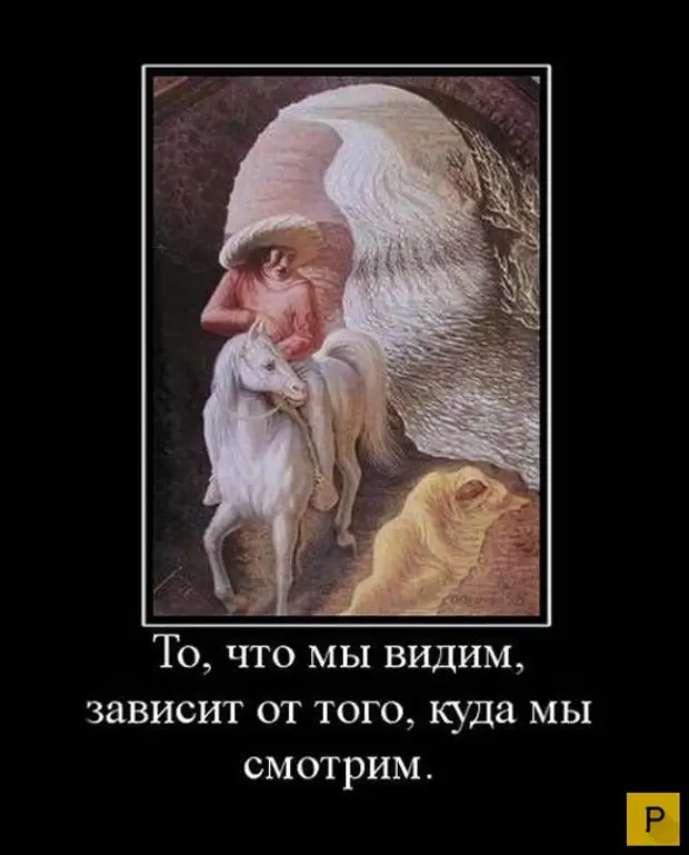 Мир всезнайки цитаты. Видим про. Видим про. Афоризмы про жизнь. Чистый взгляд.