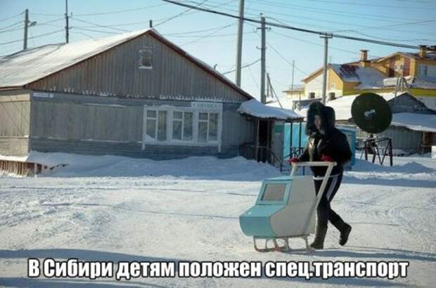 Порция прикольных картинок для настроения (52 шт)