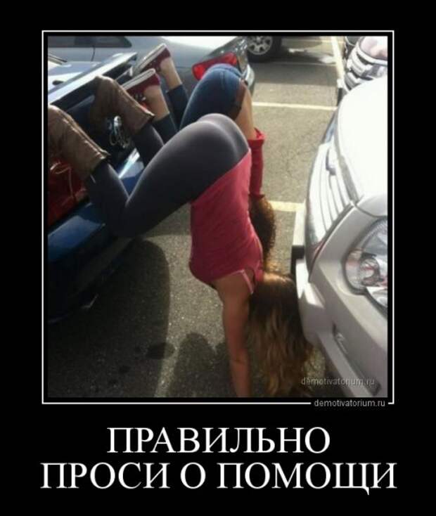 Новые демотиваторы-приколы (17 шт)