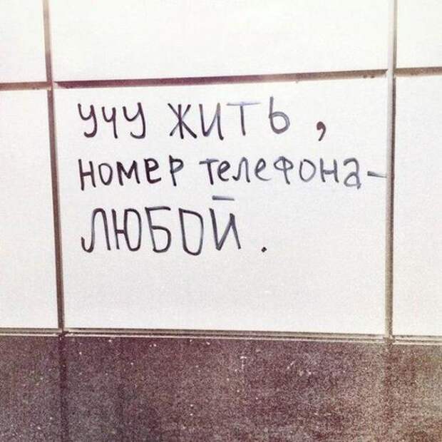 Философские надписи на стенах, которым место в учебниках
