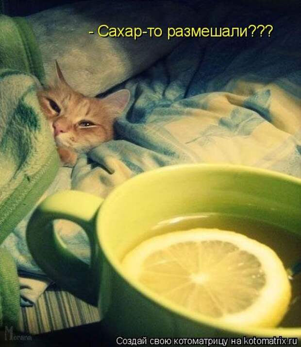 Мысли вслух :)