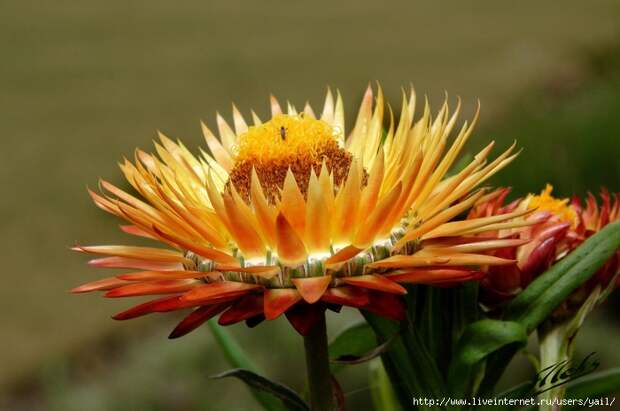 007 (700x465, 180Kb)