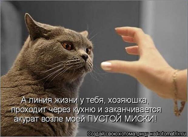 Мысли вслух :)