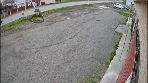 Фото: кадр из видео