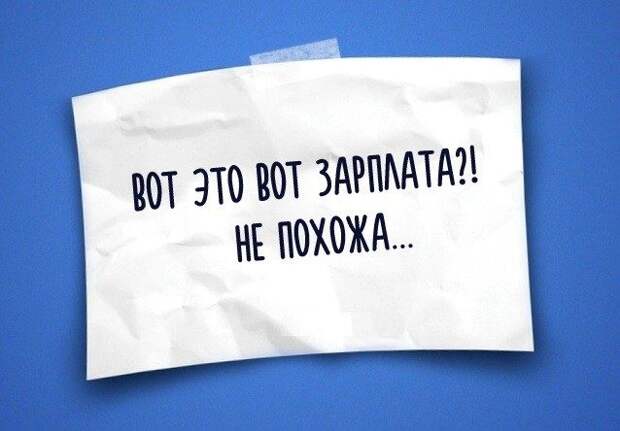 Юмор жизни в одностишьях