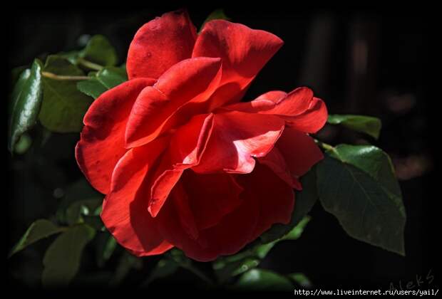 015 (700x475, 138Kb)