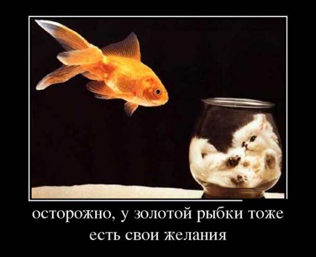 Демотиваторы (30 фото) Демотиваторы (30 фото)