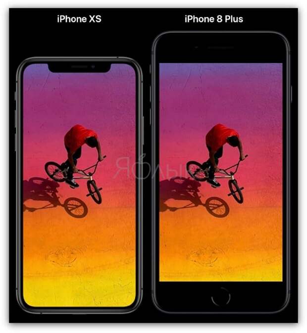 Размеры Сравнение размеров iPhone XR и iPhone 8 Plus