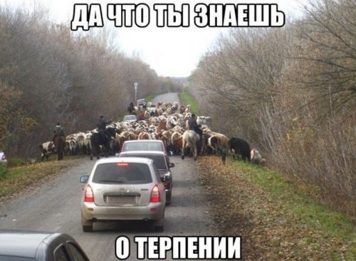 Автомир в прикольных картинках (28 фото)