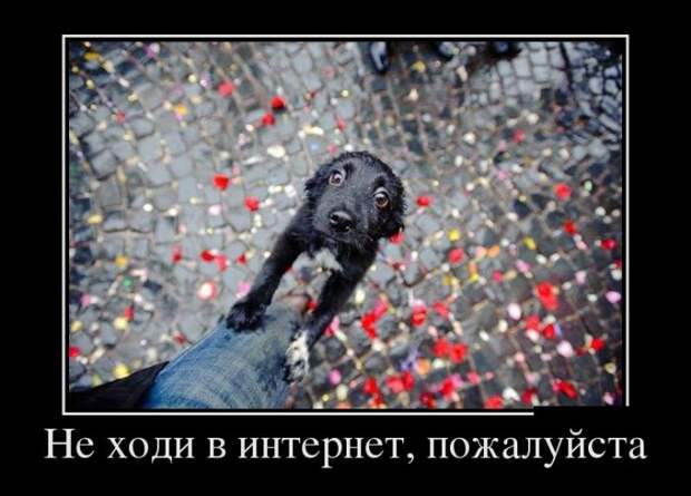 Демотиваторы - 934 Демотиваторы - 934