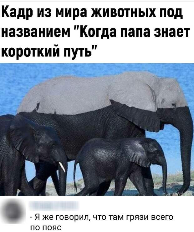 картинки прикольные смешные (20)
