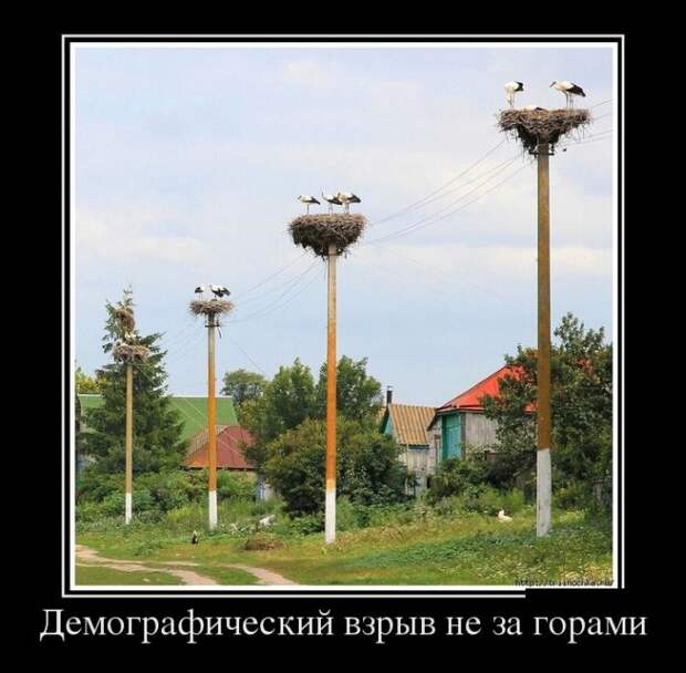 Демотиваторы демотиваторы, юмор