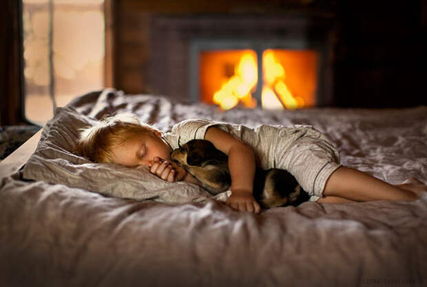 Спящие малыши  дружба, ребенок, собака