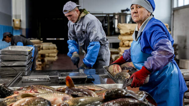 Названы самые востребованные рабочие профессии в России